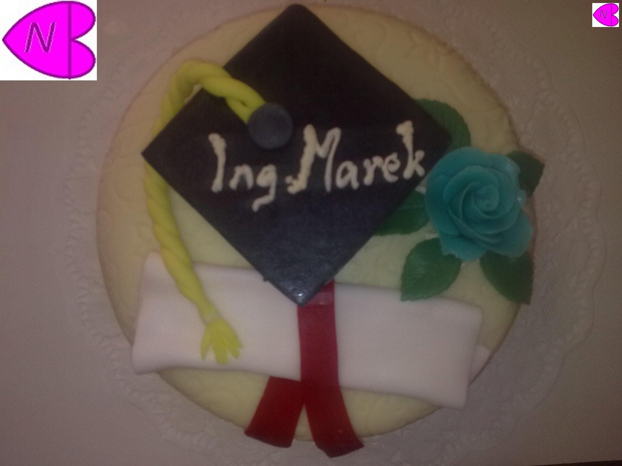 promocia 1