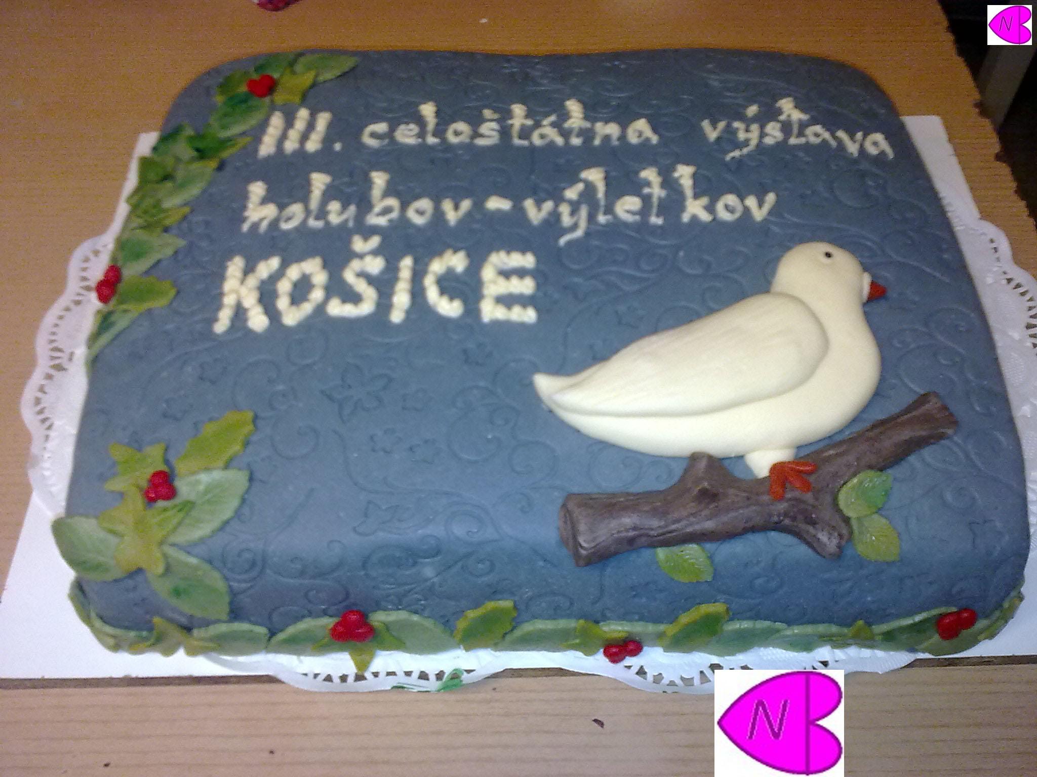 vystava holubov